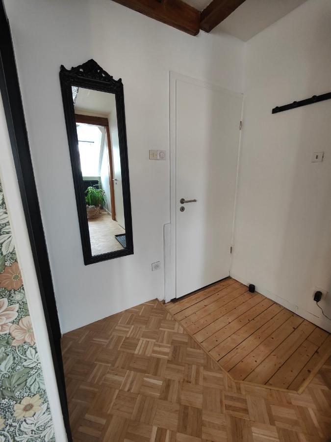 Appartement Le Baroque En Duplex Mulhouse Exterior foto